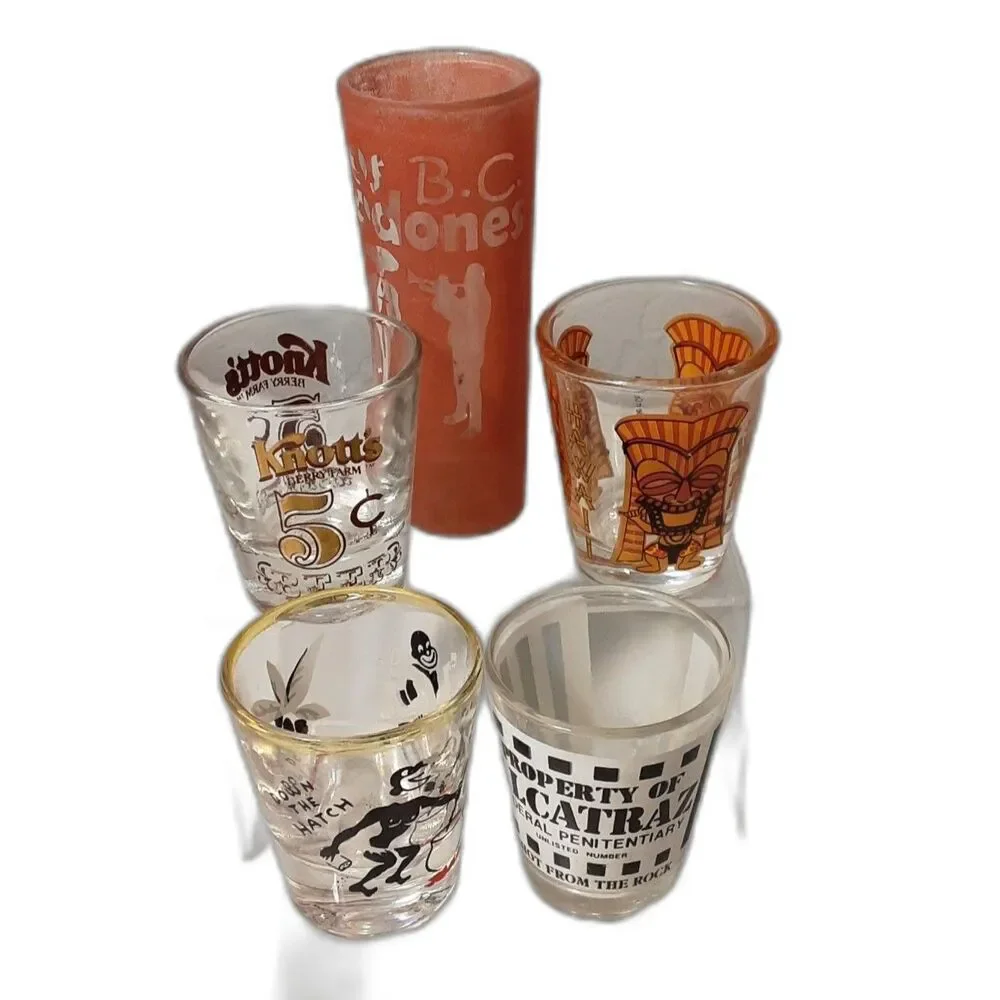Vintage Shot Glasses Various Places and Graphics 5 in the Set